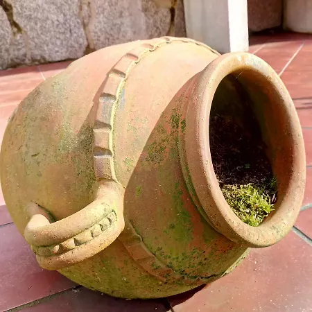 Casa de hóspedes O Prouso Carnota